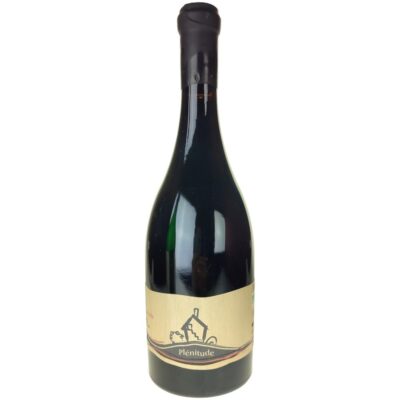 Bourgueil Plénitude 2018, Domaine de la Cabernelle